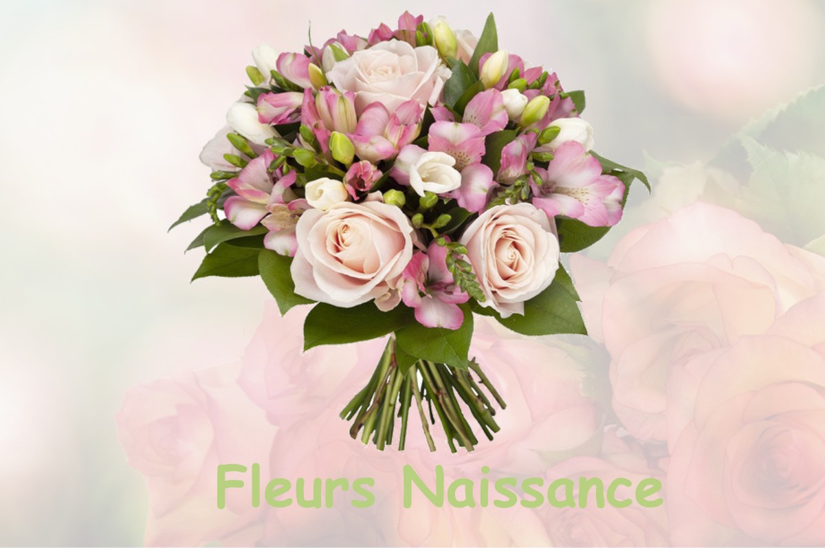fleurs naissance AURIAC-L-EGLISE